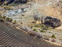 Sisteron -Tour du Molard  Zoom sur une maison en ruine à l'Est des Houlettes